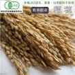 画像1: CAP! 鳥の餌 賞味期限2026/5/31 【熊本県産】有機JAS認定品 稲穂 50g 2024年産 ろのわ※青ラベル※ ★ (1)