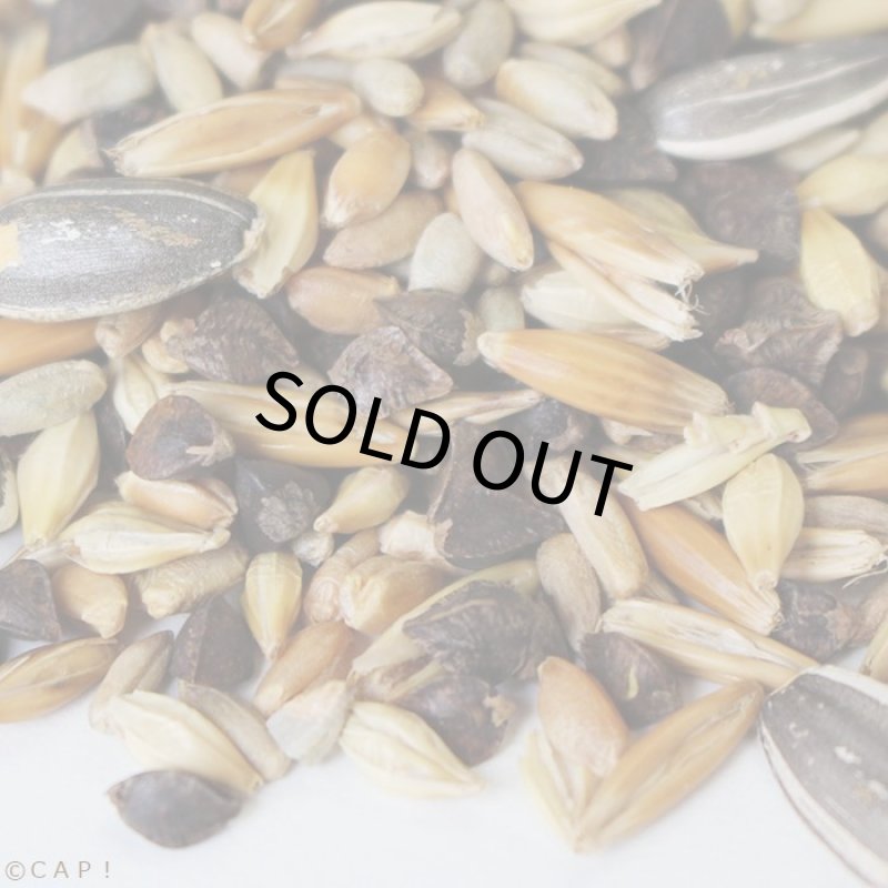 画像2: CAP! 鳥の餌 賞味期限2027/2/28 オウム 冬季ミックス 大型鳥 100g★ (2)