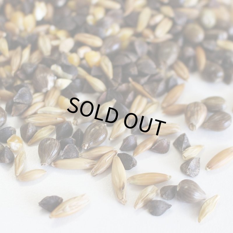 画像3: CAP! 鳥の餌 賞味期限2027/7/6　国内産 おやつシードミックス 中型鳥/大型鳥 400g　★ (3)