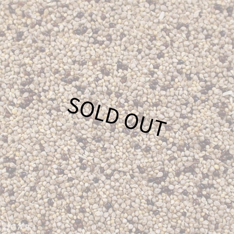 画像2: CAP! 鳥の餌 賞味期限2027/9/30冬季ミックス 小型鳥 100g★ (2)