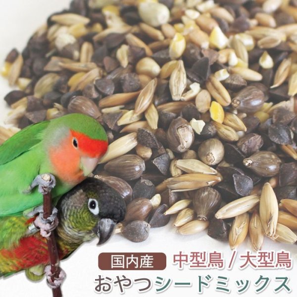 画像1: CAP! 鳥の餌 賞味期限2026/10/3　国内産 おやつシードミックス 中型鳥/大型鳥 400g　★ (1)