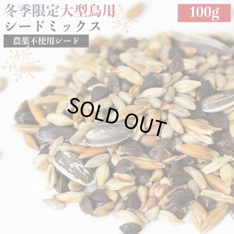 画像1: CAP! 鳥の餌 賞味期限2027/2/28 オウム 冬季ミックス 大型鳥 100g★ (1)