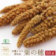 画像1: CAP! 鳥の餌 賞味期限2026/10/31 ※LN50※【熊本県産】有機JAS認定品 粟の穂【極】 50g 2024年産 ★ (1)
