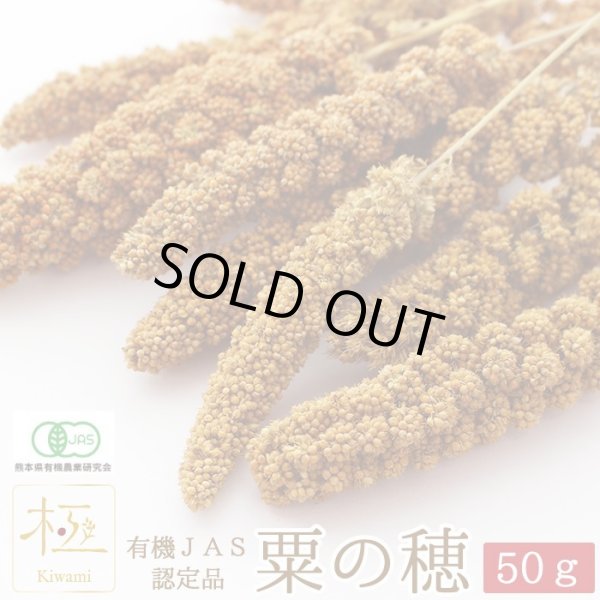 画像1: CAP! 鳥の餌 賞味期限2026/10/31 ※LN50※【熊本県産】有機JAS認定品 粟の穂【極】 50g 2024年産 ★ (1)