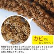 画像4: CAP! 鳥の餌 賞味期限2026/10/31 ※LN50※【熊本県産】有機JAS認定品 粟の穂【極】 50g 2024年産 ★ (4)