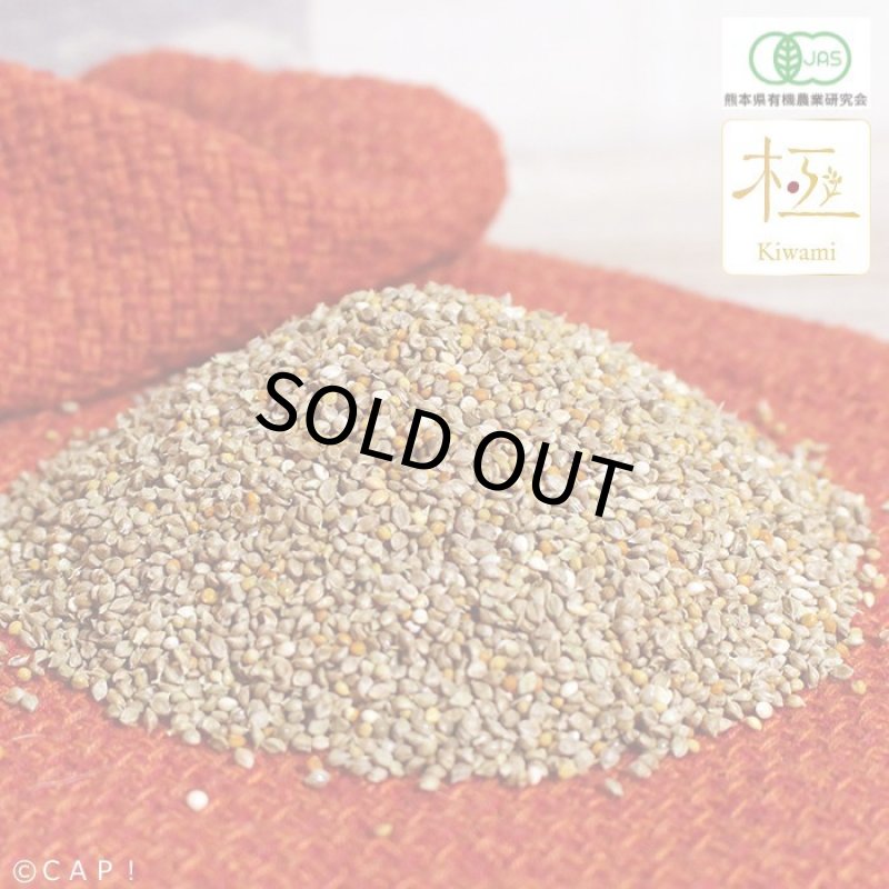 画像3: CAP! 鳥の餌 賞味期限2027/2/28【熊本県産】有機JAS認定品 極-kiwami- プレミアムミックス 小型鳥 500g ★ (3)