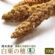 画像1: CAP! 鳥の餌 賞味期限2026/7/31【熊本県産】有機JAS認定品 白粟の穂 100g 2022年産★ (1)
