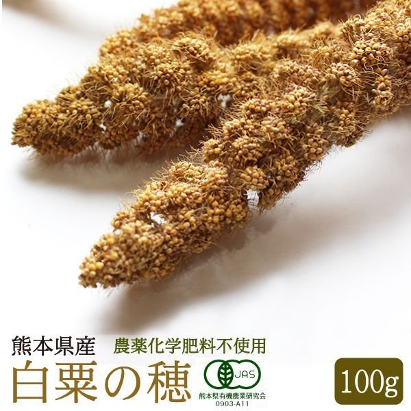 画像1: CAP! 鳥の餌 賞味期限2026/7/31【熊本県産】有機JAS認定品 白粟の穂 100g 2022年産★ (1)