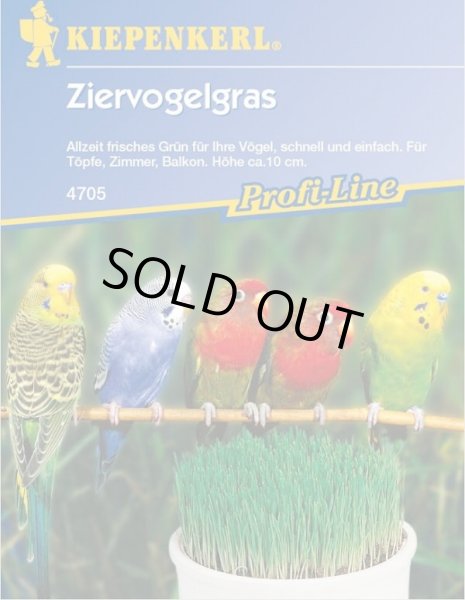 画像1: CAP! 鳥の餌 賞味期限2026/1/31【とりきち横丁】育てるインコ草 30g ziervogelgras4705★ (1)