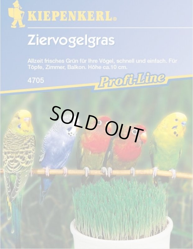 画像1: CAP! 鳥の餌 賞味期限2026/1/31【とりきち横丁】育てるインコ草 30g ziervogelgras4705★ (1)