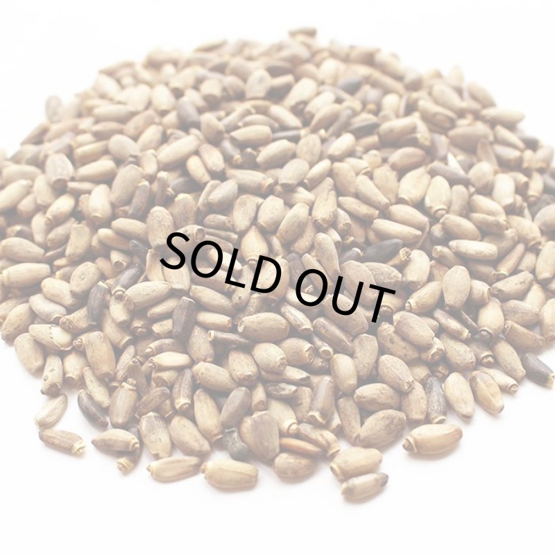 画像2: CAP! 鳥の餌 賞味期限2026/8/31【とりきち横丁】【無農薬】 マリアアザミの種子 20g★ (2)