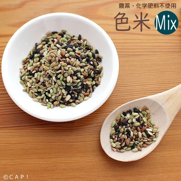 画像1: CAP! 鳥の餌 賞味期限2026/10/31【熊本県産】色米ミックス 100g★ (1)