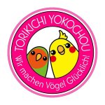 画像6: CAP! 鳥の餌 賞味期限2026/3/31【とりきち横丁】【無農薬】2023年度産 モヘアキビ穂 ※カットタイプ※ 20g★ (6)