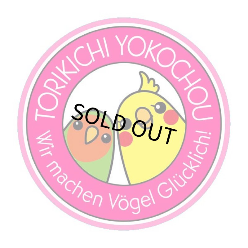 画像3: CAP! 鳥の餌 賞味期限2026/8/31【とりきち横丁】【無農薬】 マリアアザミの種子 20g★ (3)