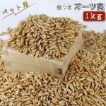 画像1: CAP! 鳥の餌 賞味期限2026/12/31　オーツ麦 1kg★ (1)