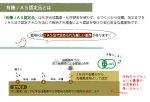 画像5: CAP! 鳥の餌 賞味期限2026/11/30　【熊本県産】有機JAS認定品 白粟の穂 50g 2022年産 ★ (5)