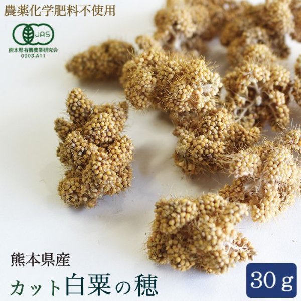 画像1: CAP! 鳥の餌 賞味期限2026/6/30※CW30※【熊本県産】有機JAS認定品 カット白粟の穂 30g 2022年産★ (1)