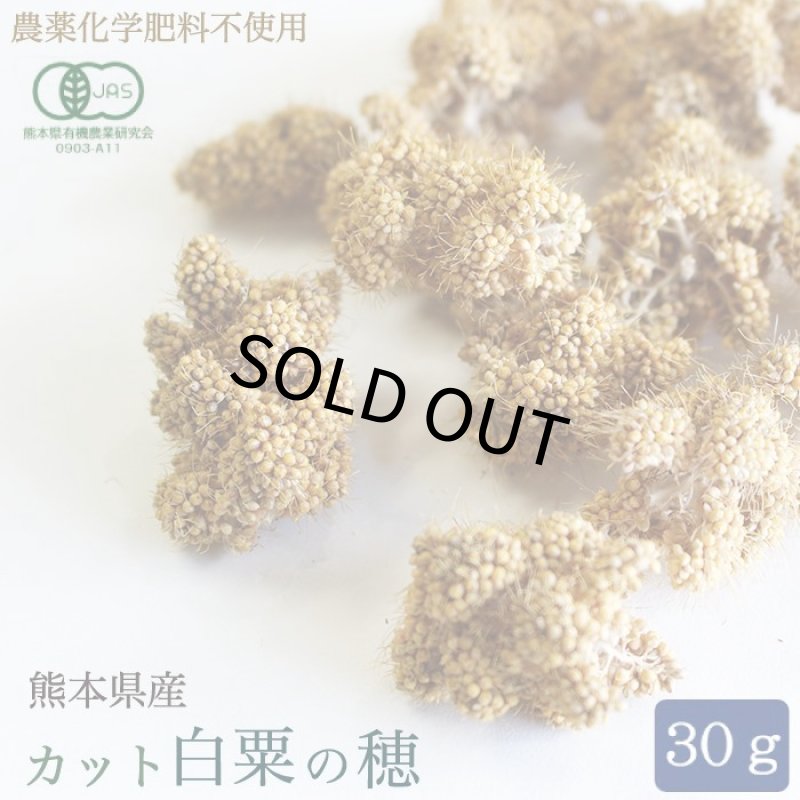 画像1: CAP! 鳥の餌 賞味期限2027/10/31※CW30※【熊本県産】有機JAS認定品 カット白粟の穂 30g 2022年産★ (1)