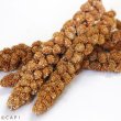 画像2: CAP! 鳥の餌 賞味期限2026/10/31　赤粟の穂 500g★ (2)