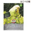 画像1: CAP! 鳥の餌 賞味期限2029/1/31【とりきち横丁】はこべの種　7ｇ★ (1)