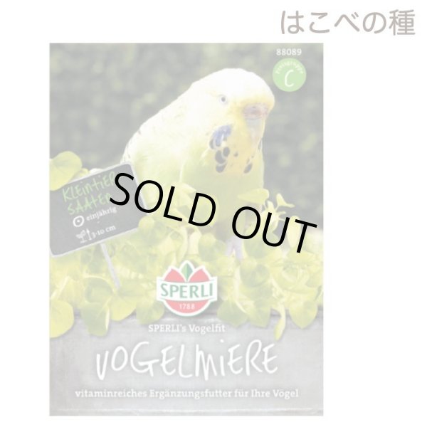 画像1: CAP! 鳥の餌 賞味期限2029/1/31【とりきち横丁】はこべの種　7ｇ★ (1)