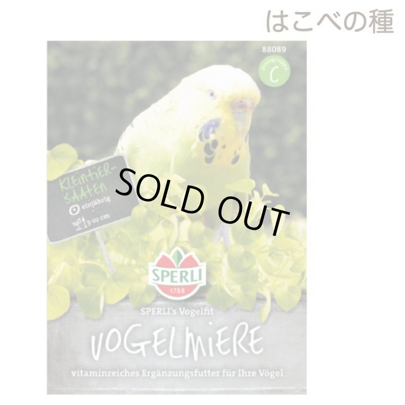 画像1: CAP! 鳥の餌 賞味期限2028/1/31【とりきち横丁】はこべの種　7ｇ★ (1)