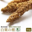 画像1: CAP! 鳥の餌 賞味期限2026/9/30　【熊本県産】有機JAS認定品 白粟の穂 50g 2022年産 ★ (1)