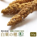 画像1: CAP! 鳥の餌 賞味期限2026/11/30　【熊本県産】有機JAS認定品 白粟の穂 50g 2022年産 ★ (1)