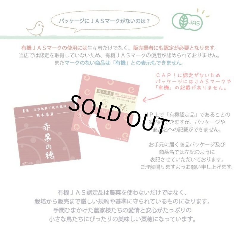 画像5: CAP! 鳥の餌 賞味期限2025/11/30【熊本県産】有機JAS認定品 赤粟の穂 50g 2023年産  ★ (5)