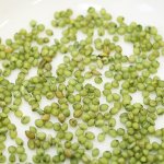 画像4: CAP! 鳥の餌 賞味期限2026/9/30 黒瀬ペットフード マニア セキセイインコ専用 1L（約710g） (4)