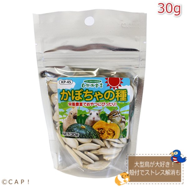 画像1: CAP! 鳥の餌 賞味期限2026/1/31 黒瀬ペットフード 自然派宣言 かぼちゃの種 30g (1)