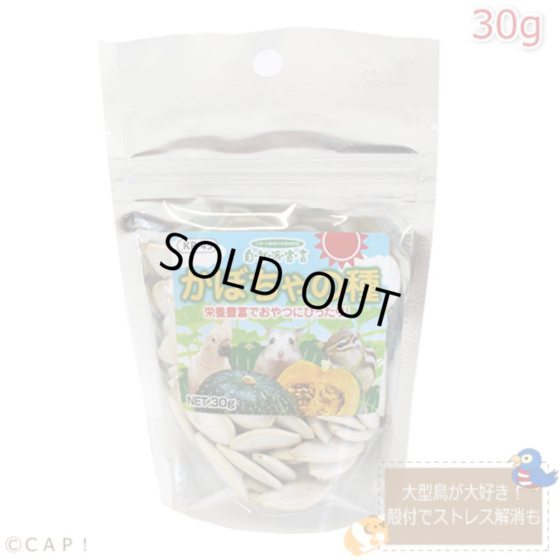 画像1: CAP! 鳥の餌 賞味期限2026/8/31　 黒瀬ペットフード 自然派宣言 かぼちゃの種 30g (1)