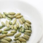 画像4: ※大袋※CAP! 鳥の餌 賞味期限2026/8/31 黒瀬ペットフード マニア 大型インコ専用 3L（約1.8kg） (4)