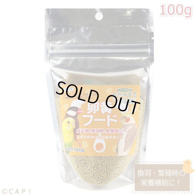 画像1: CAP! 鳥の餌 賞味期限2026/5/31【黒瀬ペットフード】自然派宣言卵黄フード 100g (1)