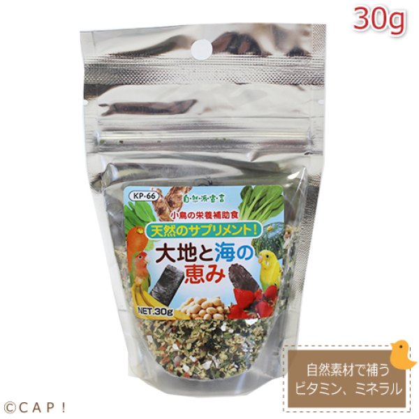 画像1: 【恵みKP-66】CAP! 鳥の餌 賞味期限2026/6/30【黒瀬ペットフード】自然派宣言 大地と海の恵み 30g (1)