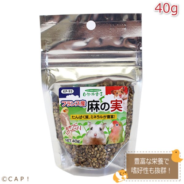 画像1: CAP! 鳥の餌 賞味期限2026/5/31【黒瀬ペットフード】自然派宣言 フランス産麻の実 40g (1)
