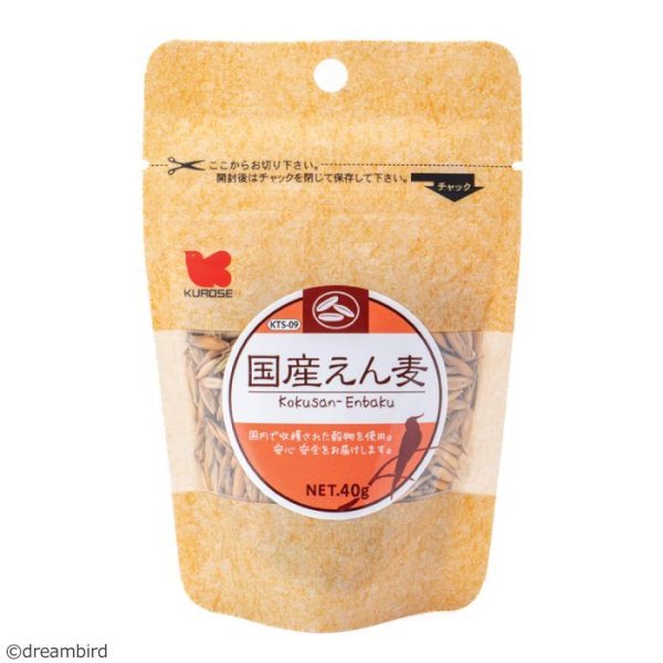 画像1: CAP! 鳥の餌 賞味期限2026/1/31黒瀬ペットフード KTS-09 国産 えん麦 40g (1)