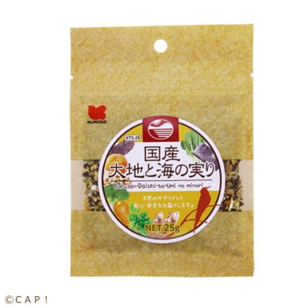 画像1: 【実りKTS-24】CAP! 鳥の餌 賞味期限2026/3/31【黒瀬ペットフード】国産 大地と海の実り 25g (1)