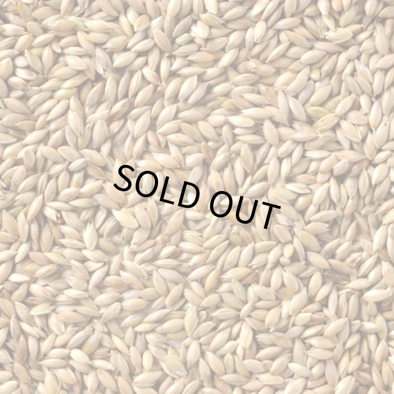 画像2: CAP! 鳥の餌 賞味期限2026/6/30【黒瀬ペットフード】KTS-06 国産 カナリーシード 40g (2)