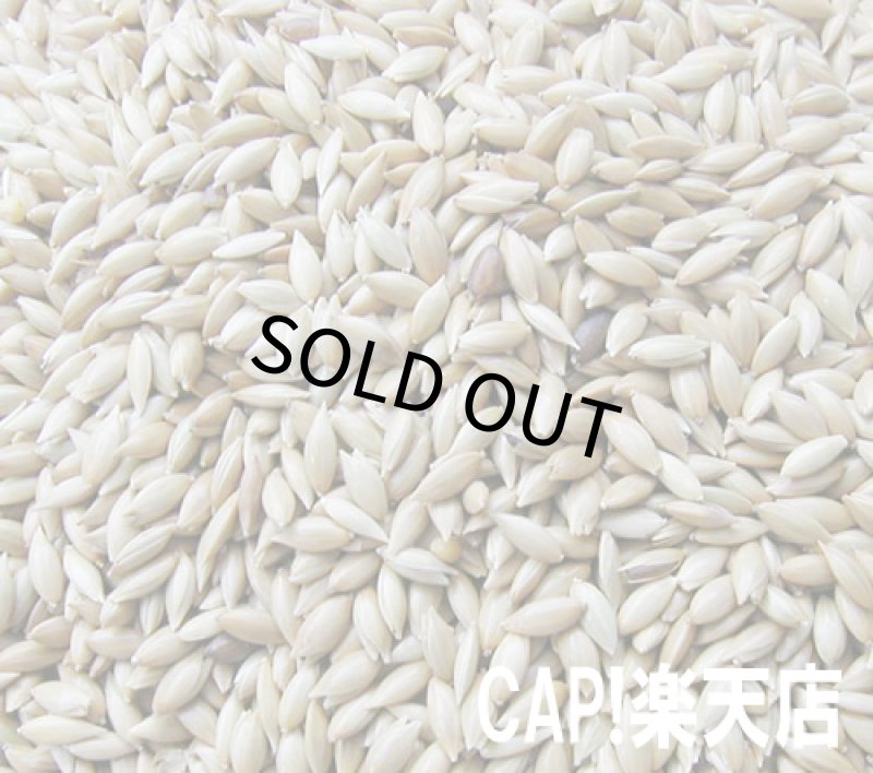 画像3: CAP! 鳥の餌 賞味期限2027/11/30　太陽と大地の恵み カナリーシード 130g (3)