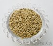 画像2: CAP! 鳥の餌 賞味期限2027/3/31　太陽と大地の恵み カナリーシード 130g (2)