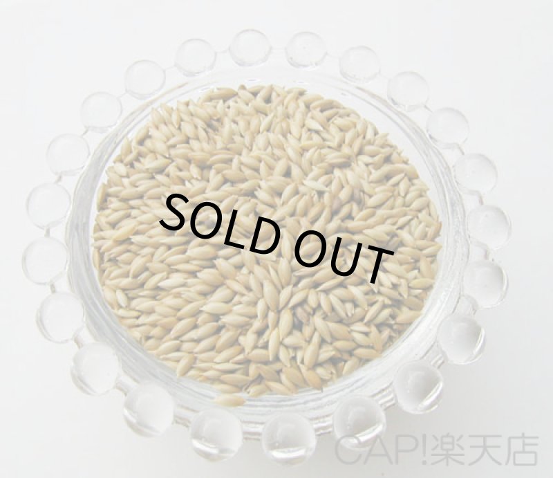 画像2: CAP! 鳥の餌 賞味期限2027/11/30　太陽と大地の恵み カナリーシード 130g (2)