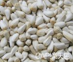 画像3: CAP! 鳥の餌 賞味期限2027/4/30太陽と大地の恵み サフラワーシード 100g (3)