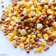 画像2: CAP! 鳥の餌 賞味期限2026/7/31【KONKI】サンハーベスト ハトのエサ 800g (2)