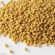 画像2: CAP! 鳥の餌 賞味期限2026/8/31 ペッズイシバシ ザバードペレット フィンチ 250g (2)