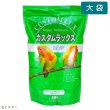 画像1: CAP! 鳥の餌 賞味期限2026/10/31 カスタムラックス 中型インコ・ボタンインコブレンド 2.5L (1)