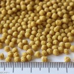 画像3: CAP! 鳥の餌 賞味期限2027/2/28ペッズイシバシ ザバードペレット オカメインコ・中型インコ 250g (3)