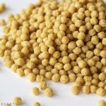 画像2: CAP! 鳥の餌 賞味期限2027/2/28ペッズイシバシ ザバードペレット オカメインコ・中型インコ 250g (2)