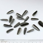 画像3: CAP! 鳥の餌 賞味期限2027/2/28 マルカン MR-572 小粒ひまわりの種 200g (3)