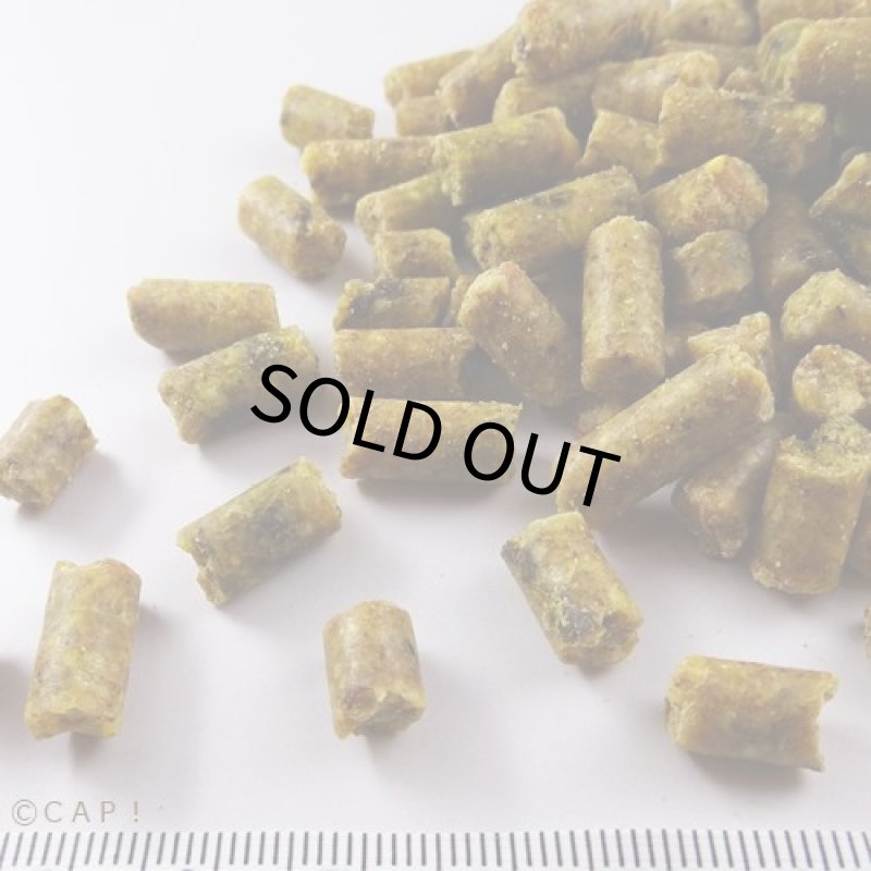 画像2: CAP! 鳥の餌 賞味期限2026/8/8 ラウディブッシュ シニアダイエット ミディアム 44oz(1.25kg) (2)